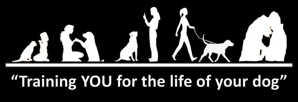 Black and white graphic showing the age stages of a dog and its owner with the subtitle text "Training YOU for the life of your dog"